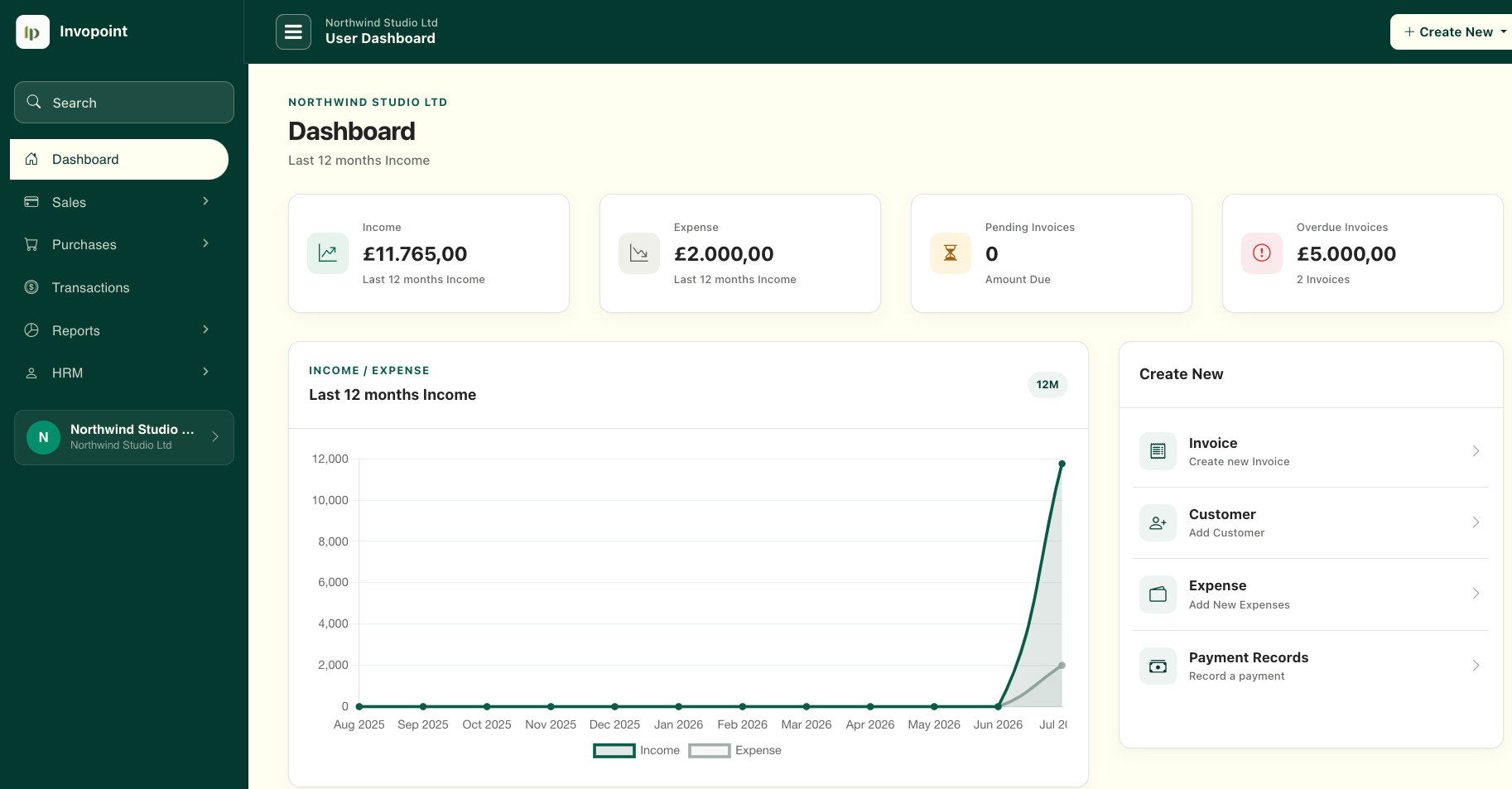 Invopoint invoicing dashboard showing income, expenses, invoices and reports